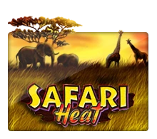 Joker123 : Safari Heat - QUEENBET138
